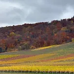 Panorama 180 * Kitzingen