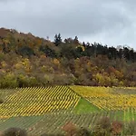 Panorama 180 *