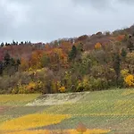 Panorama 180 *