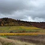 Panorama 180 * Kitzingen