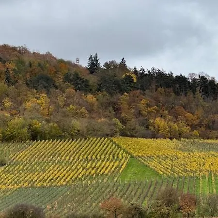 Panorama 180 *