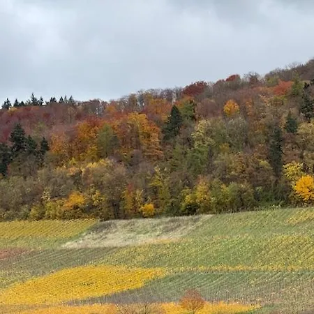 Panorama 180 *