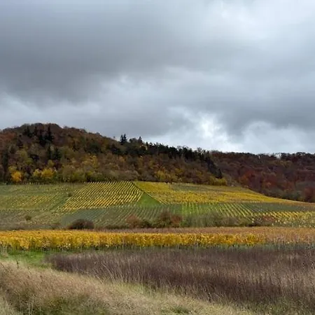 Panorama 180 * Kitzingen