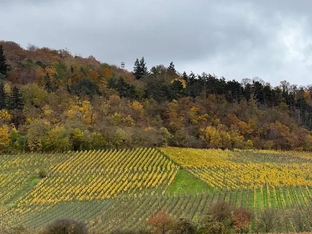 Panorama 180 *