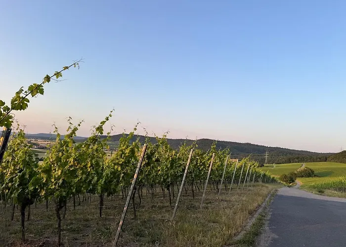 アパート Panorama 180
