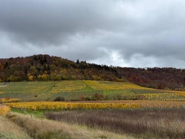 Panorama 180 * Kitzingen